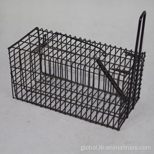 China Single Door Trapping Wild Life Wire Animal Trap Supplier